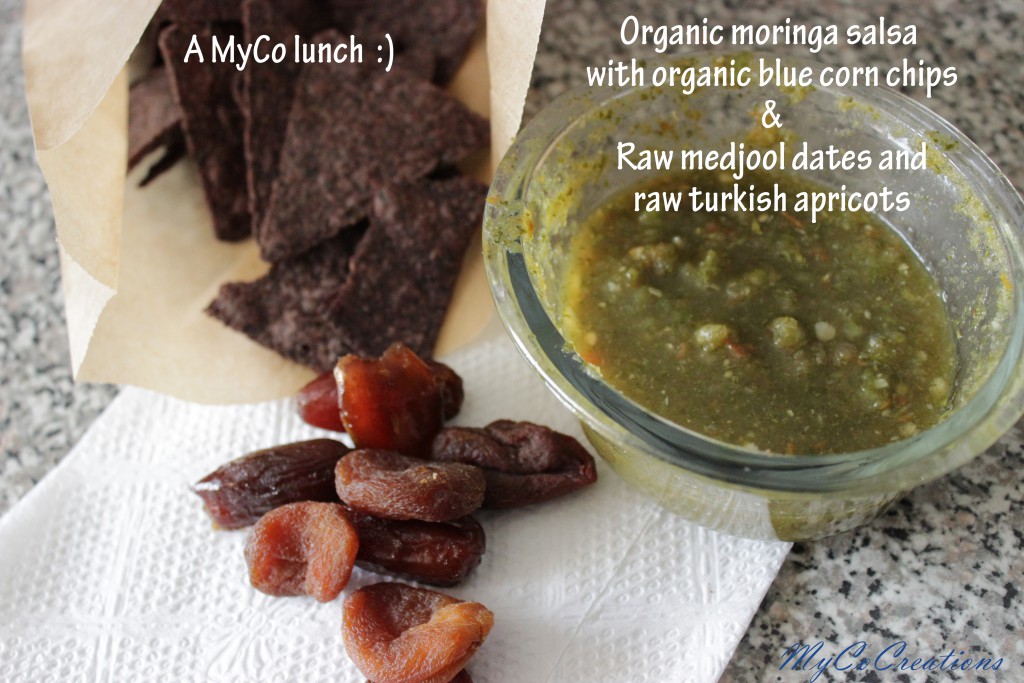 Moringa Salsa